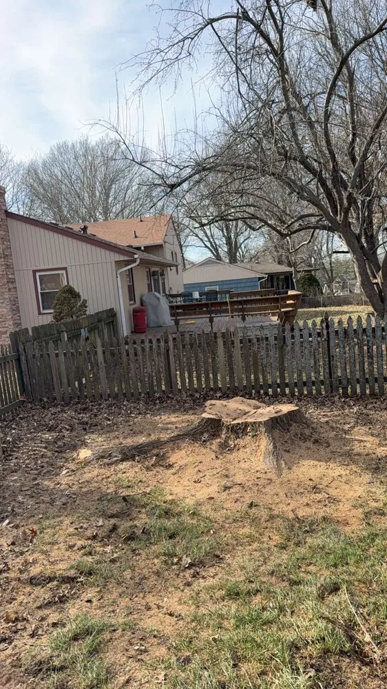 Custom lawn care service for year-round maintenance in Blue Springs, MO by Tree Kings