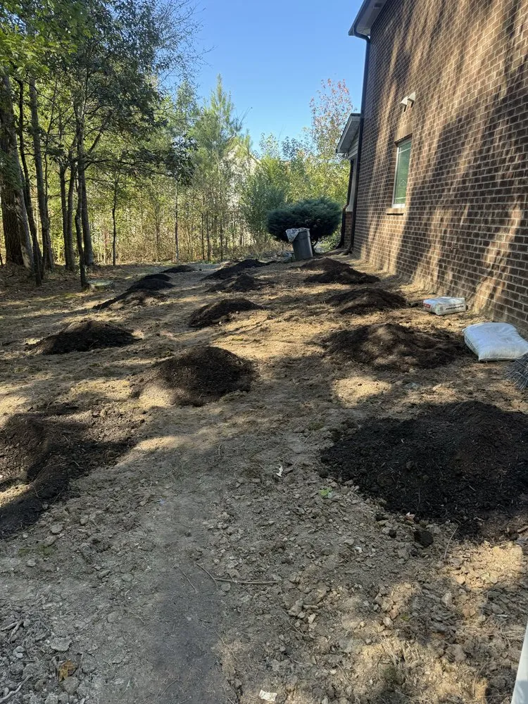 Affordable residential landscaping in Durham, NC - Tree Leaf Landscaping