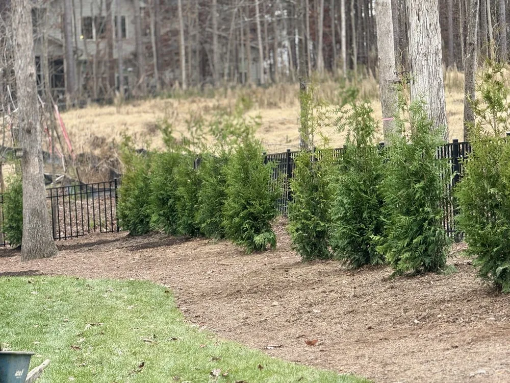 Affordable yard cleanup service near you in Durham, NC by Tree Leaf Landscaping