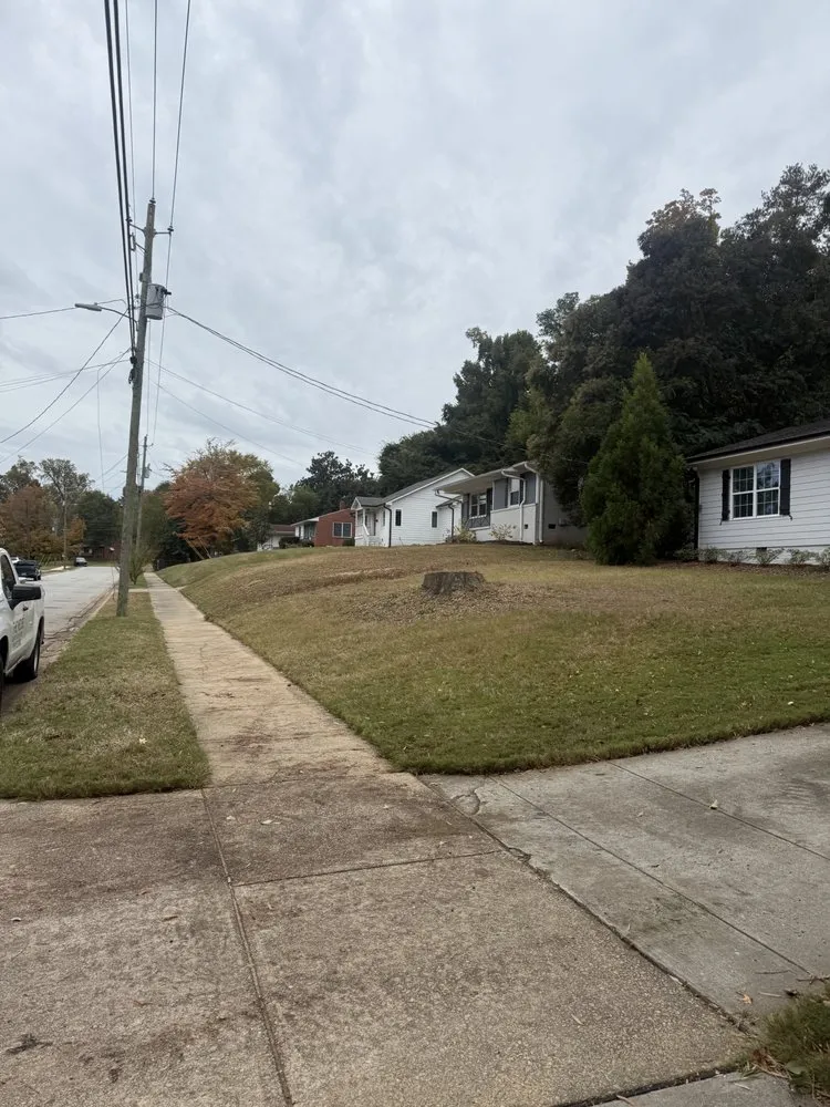 Local landscape installation for outdoor upgrades across Durham, NC - Tree Leaf Landscaping