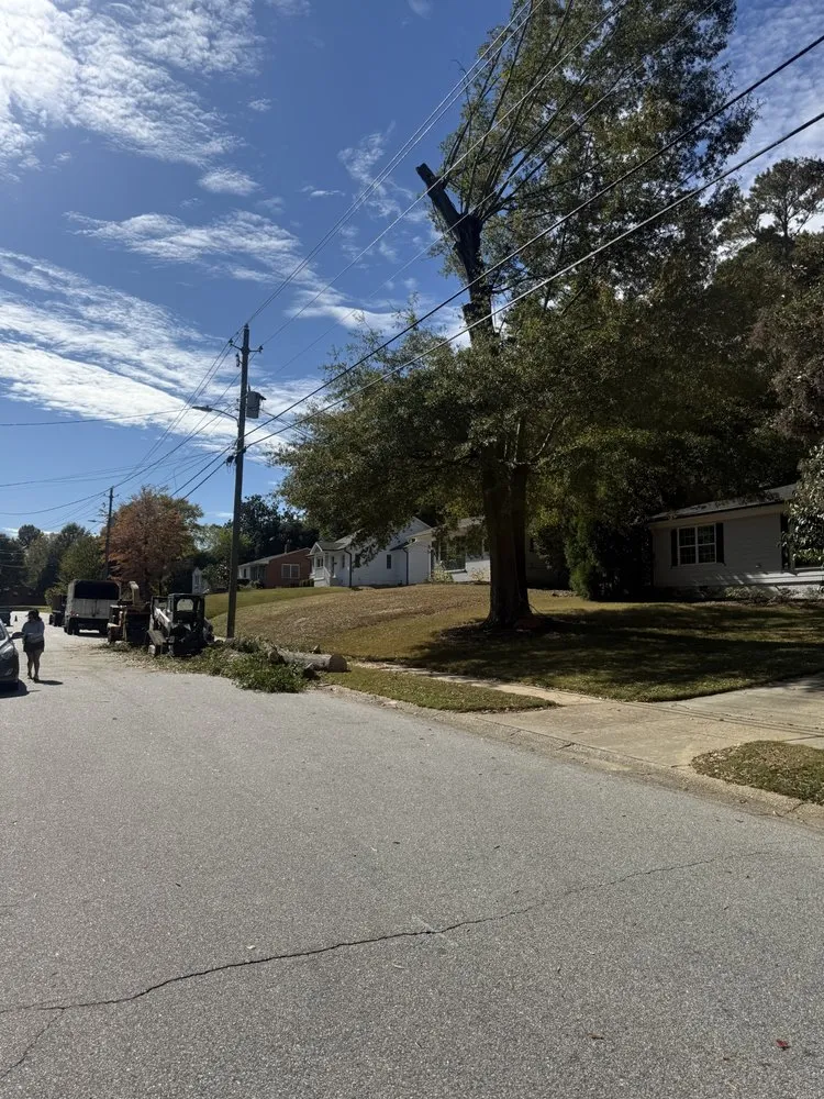 Local landscaping services experts serving Durham, NC - Tree Leaf Landscaping