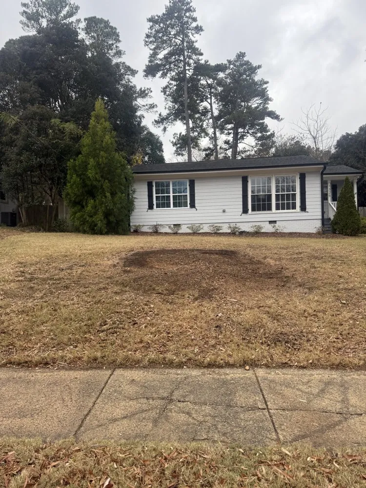 Local residential landscaping for residential properties across Durham, NC - Tree Leaf Landscaping