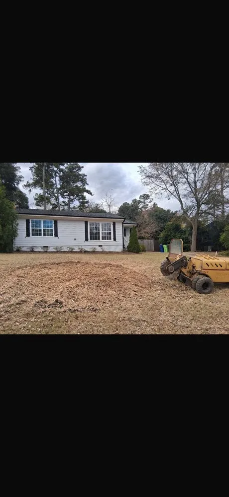 Local garden landscaping with custom design across Durham, NC - Tree Leaf Landscaping