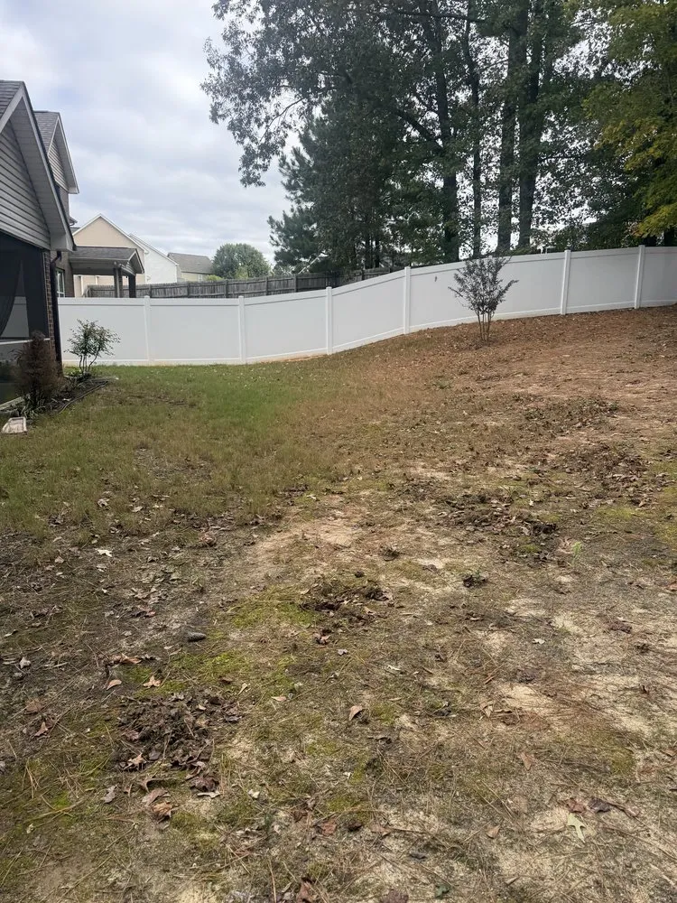 Local landscape design in Durham, NC - Tree Leaf Landscaping