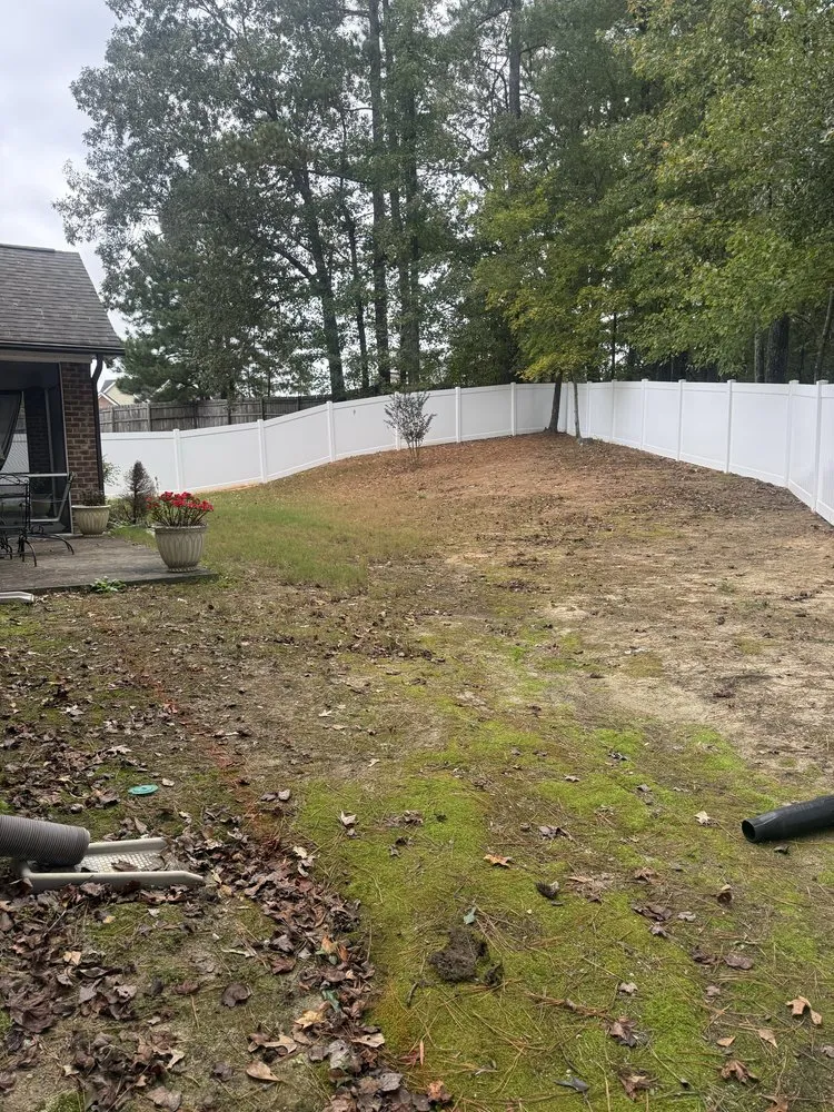 Expert yard cleanup service in Durham, NC - Tree Leaf Landscaping