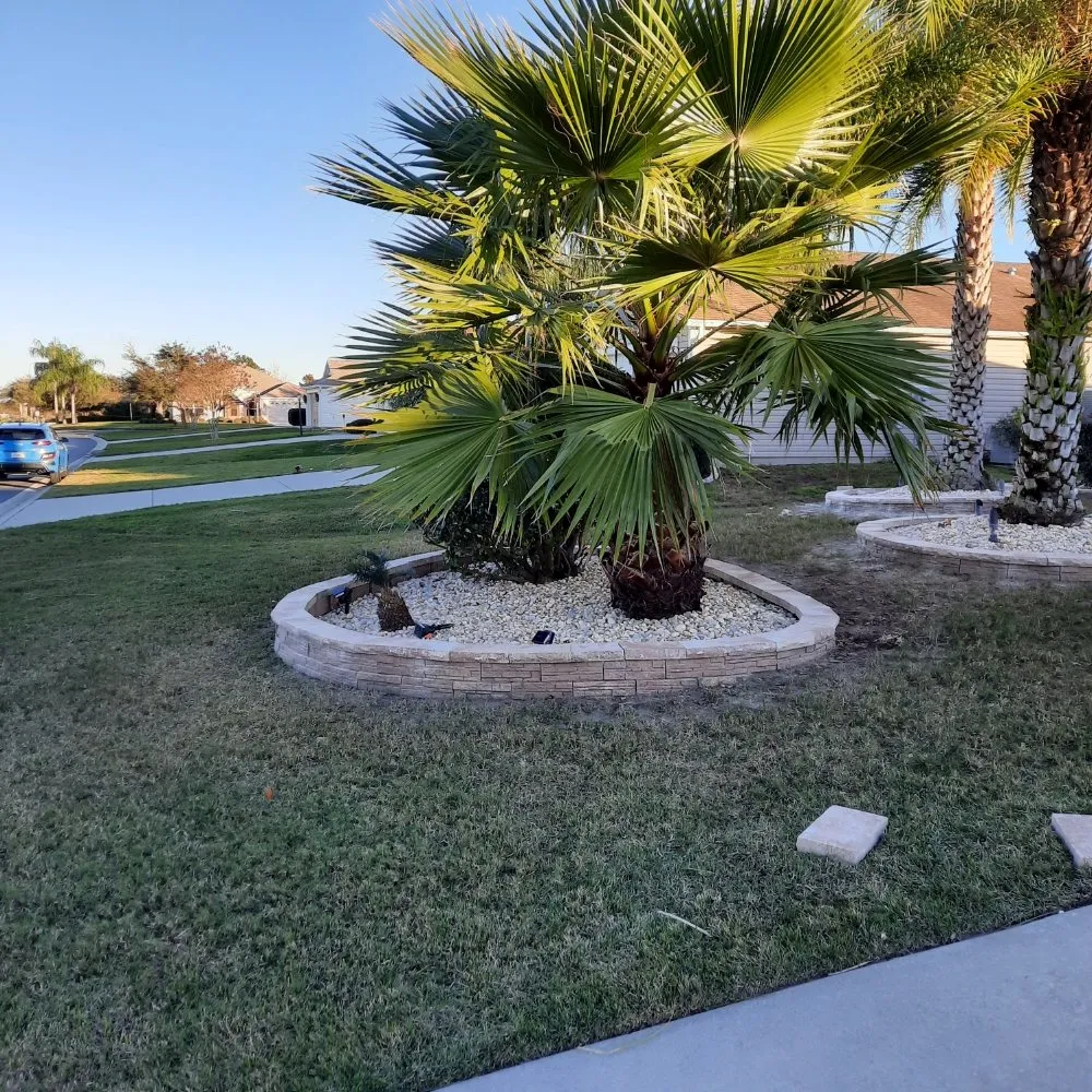 Custom lawn mowing service with custom design across Leesburg, FL - Tree Life Services