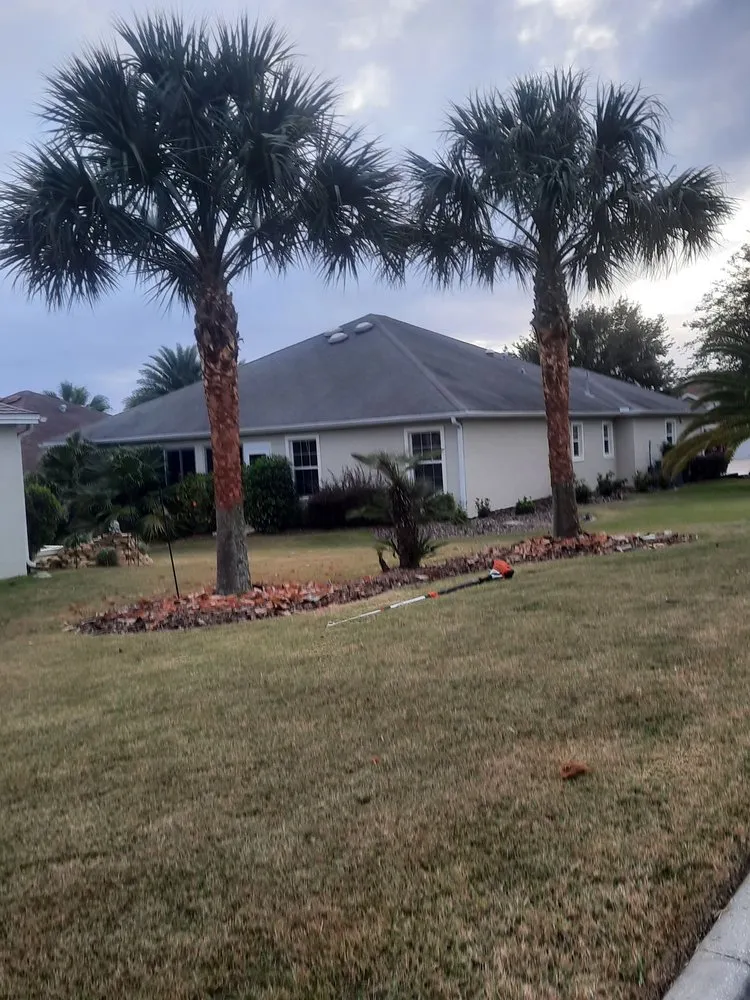Reliable landscape installation in Leesburg, FL by Tree Life Services