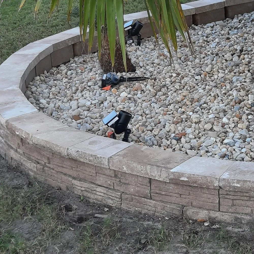 Trusted residential landscaping in Leesburg, FL by Tree Life Services