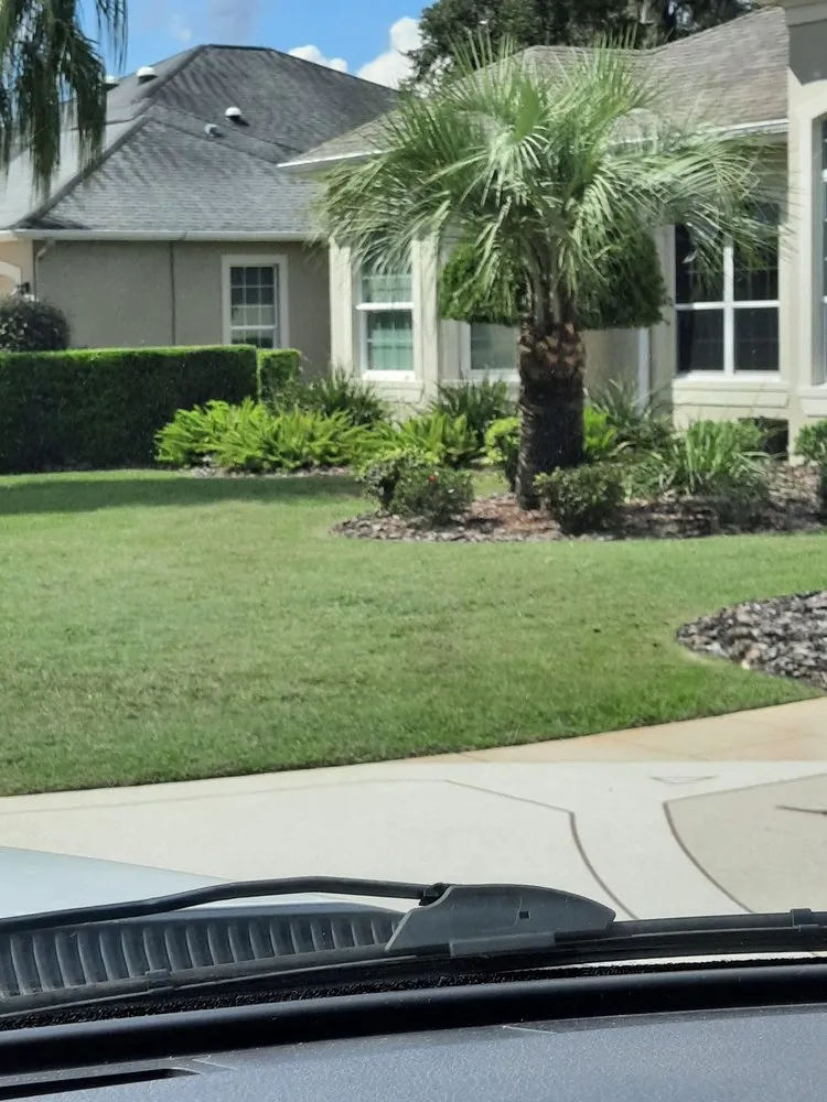 Trusted landscaping services near you in Leesburg, FL by Tree Life Services