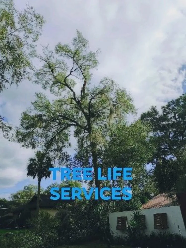 Professional residential landscaping experts serving Leesburg, FL - Tree Life Services