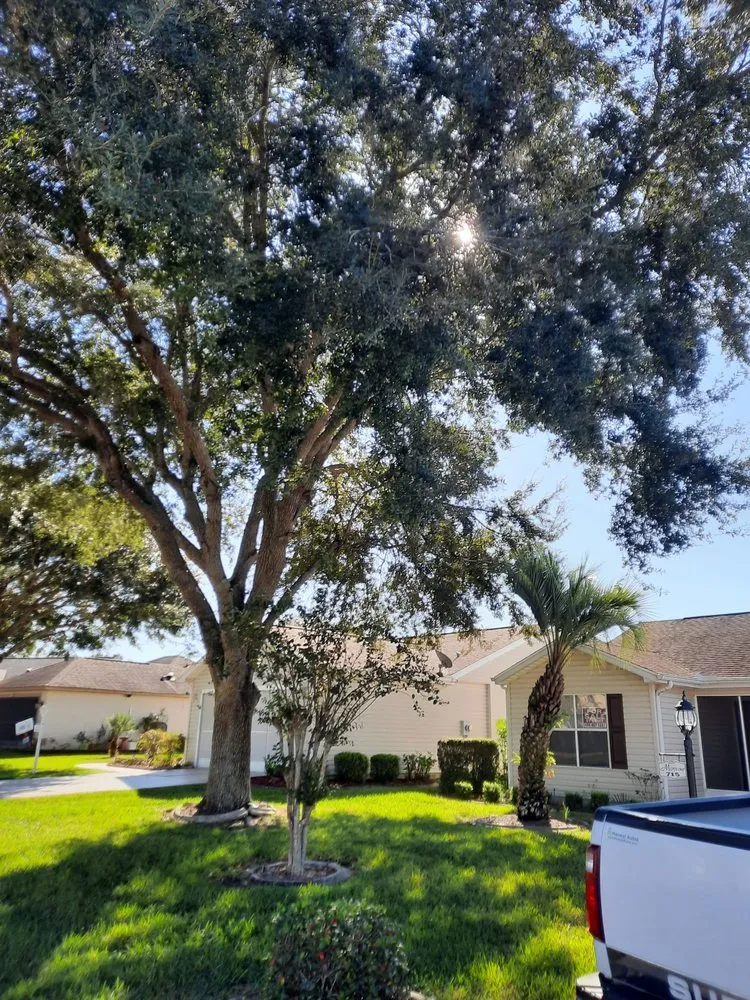 Trusted yard maintenance for outdoor upgrades across Leesburg, FL - Tree Life Services