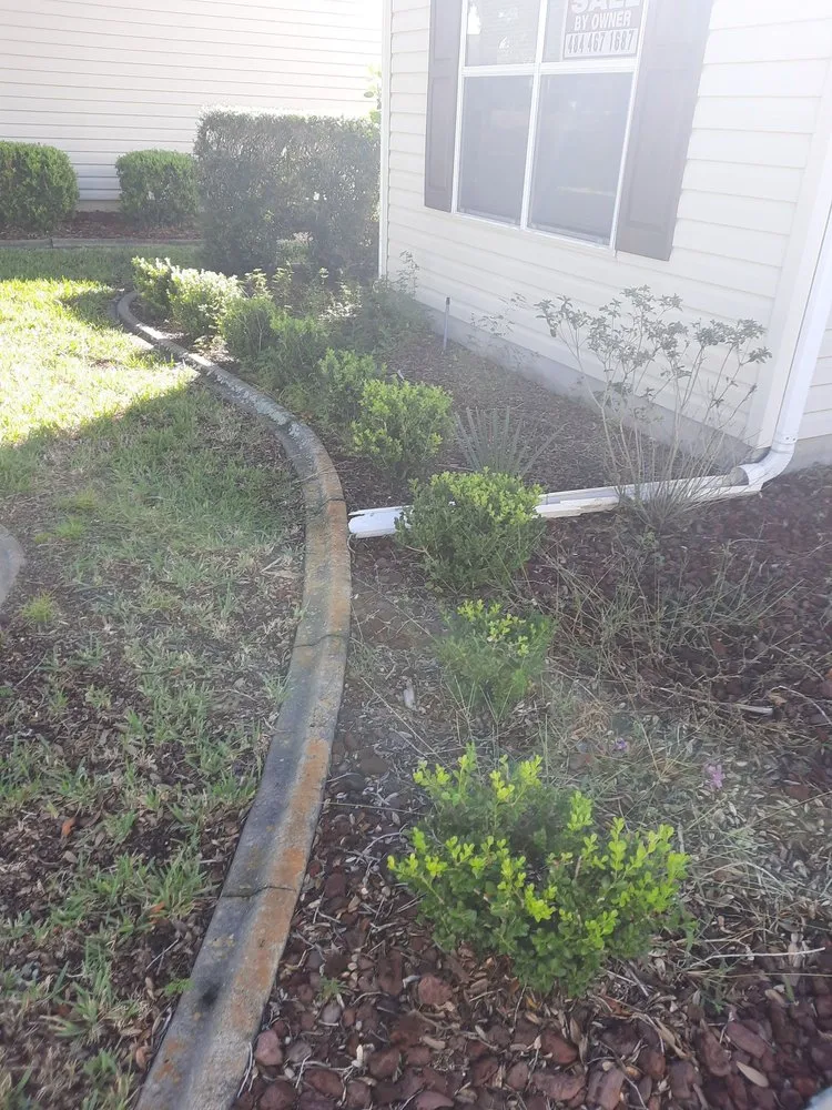 Reliable landscape installation for beautiful yards in Leesburg, FL by Tree Life Services