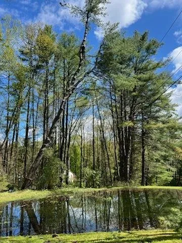 Local lawn mowing service in Claremont, NH - Tree Line Arborculture and Landscapes