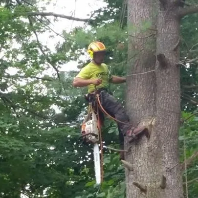 Affordable lawn mowing service for beautiful yards in Derry, NH by Tree Line Property Services