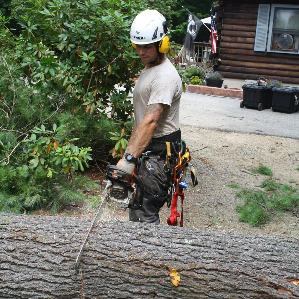 Trusted lawn mowing service in Derry, NH by Tree Line Property Services