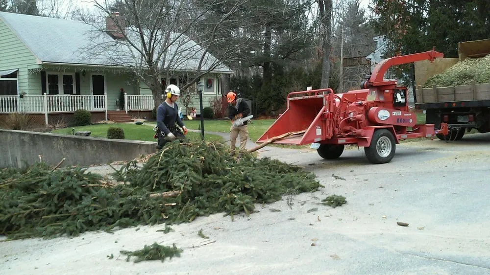 Expert outdoor landscaping in Derry, NH by Tree Line Property Services
