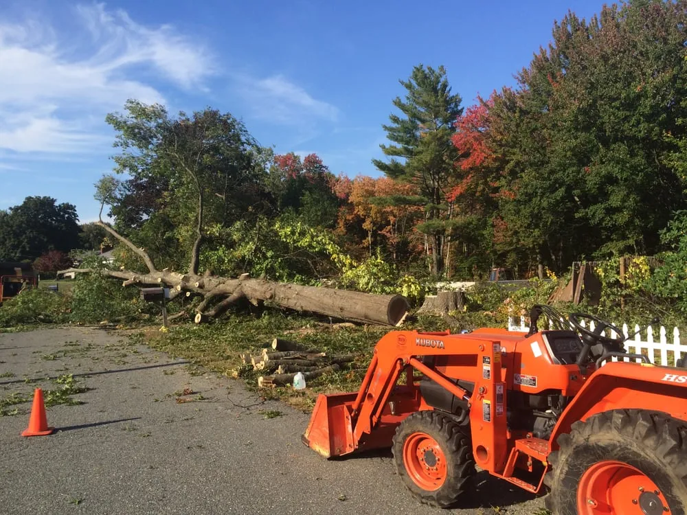 Local lawn care service for year-round maintenance across Derry, NH - Tree Line Property Services