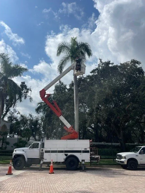 Local yard maintenance experts serving Palm Beach Gardens, FL - Tree Logic Professional Arbor Care