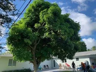 Top-rated landscaping services with custom design across Palm Beach Gardens, FL - Tree Logic Professional Arbor Care