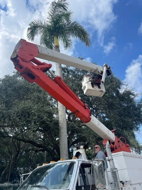 Reliable outdoor landscaping experts serving Palm Beach Gardens, FL - Tree Logic Professional Arbor Care