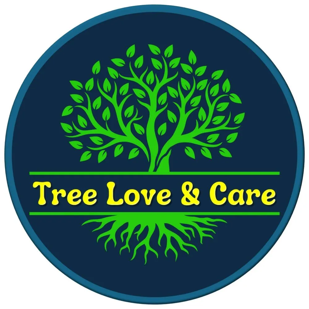 Top-rated yard cleanup service with custom design across Goleta, CA - Tree Love & Care