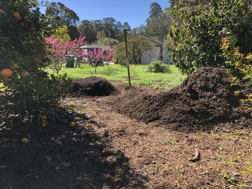 Custom landscape design in Goleta, CA by Tree Love & Care