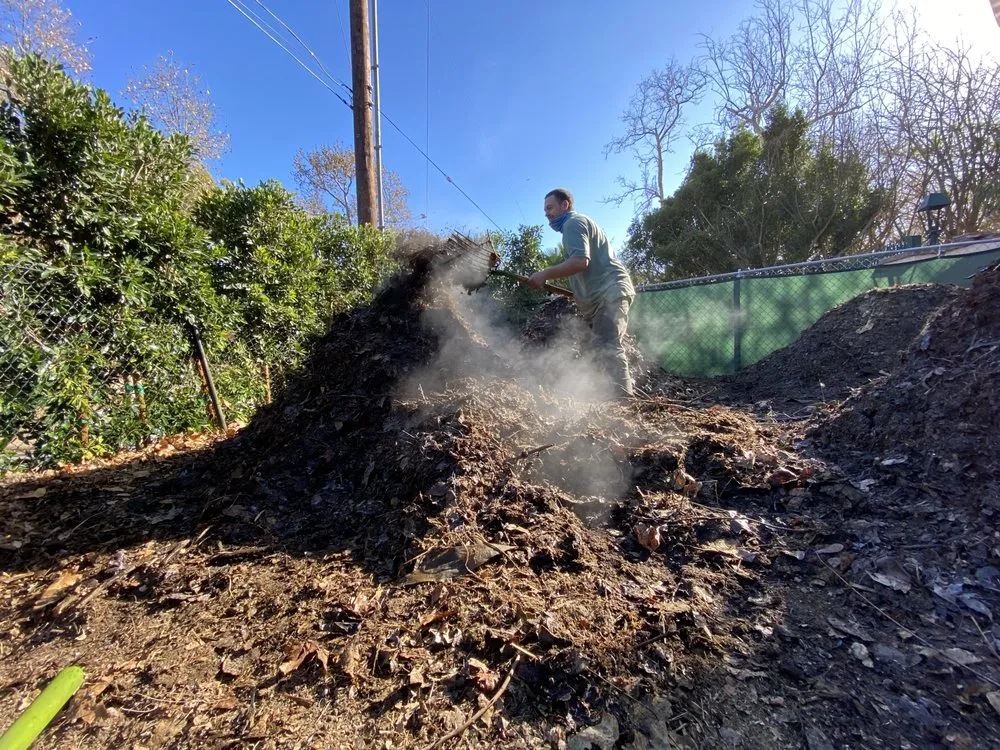 Expert residential landscaping for residential properties across Goleta, CA - Tree Love & Care