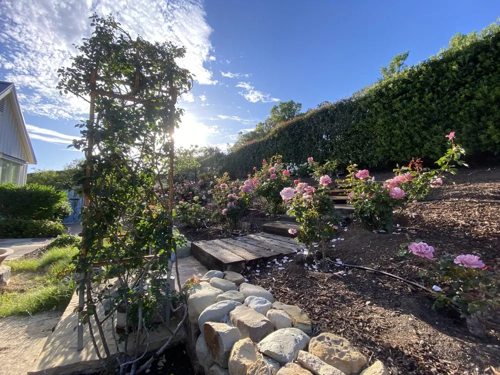 Local lawn mowing service with custom design in Goleta, CA by Tree Love & Care