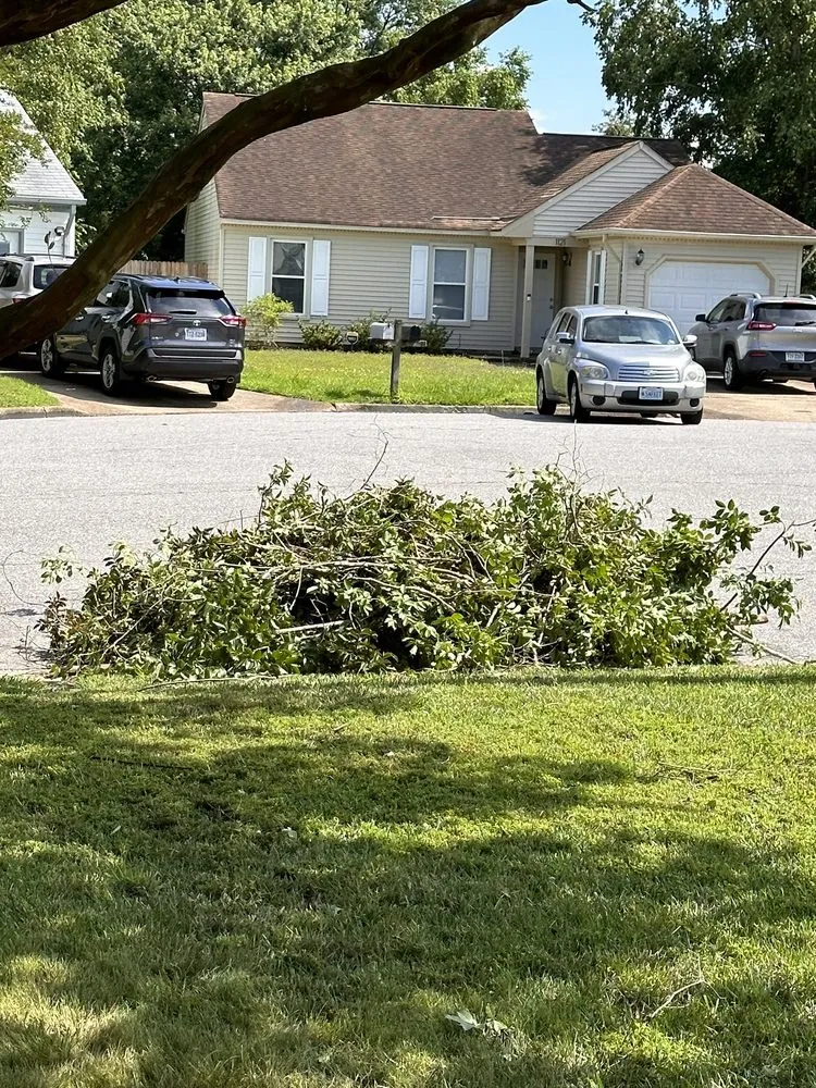 Affordable lawn mowing service in Chesapeake, VA - Tree Lyfe Tree Services