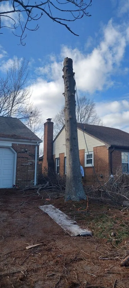 Expert residential landscaping in Chesapeake, VA - Tree Lyfe Tree Services