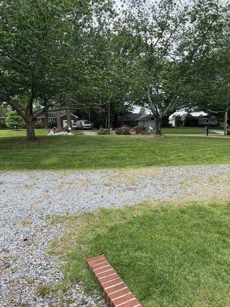 Top-rated landscape installation in Chesapeake, VA - Tree Lyfe Tree Services