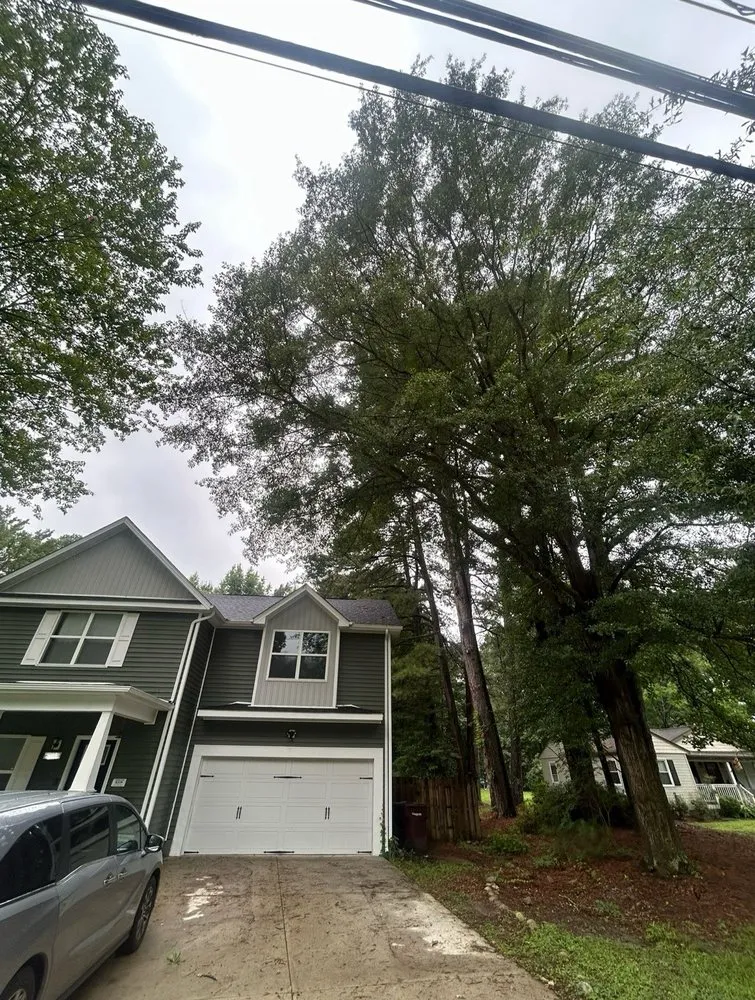 Professional landscape installation in Chesapeake, VA by Tree Lyfe Tree Services