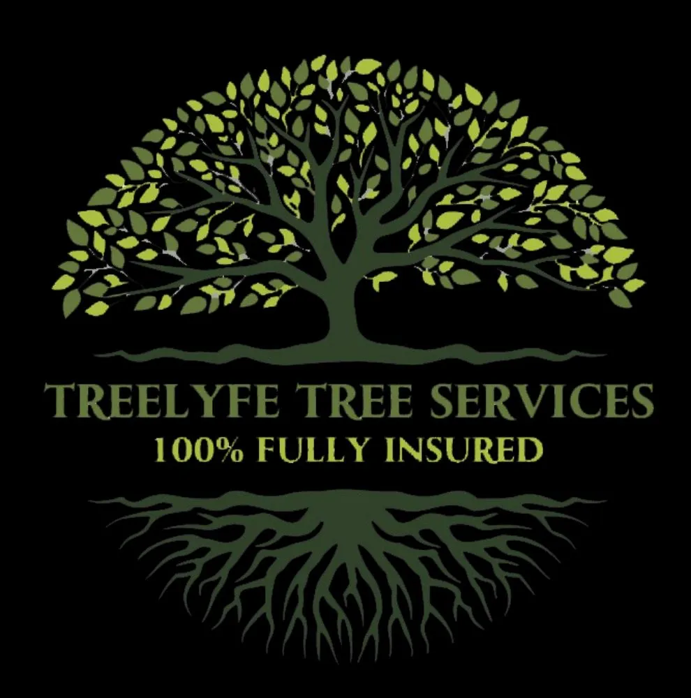 Top-rated outdoor landscaping in Chesapeake, VA by Tree Lyfe Tree Services