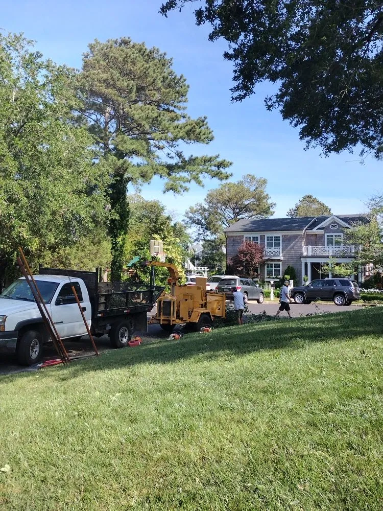 Custom yard maintenance for homes in Chesapeake, VA by Tree Lyfe Tree Services