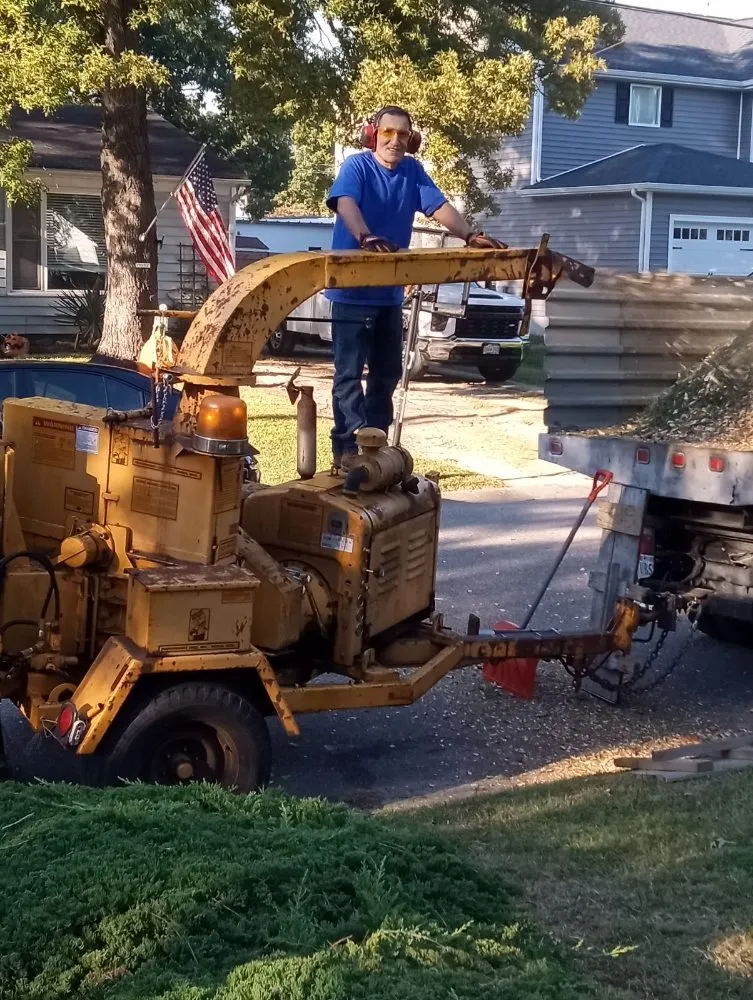 Expert yard maintenance for homes across Chesapeake, VA - Tree Lyfe Tree Services