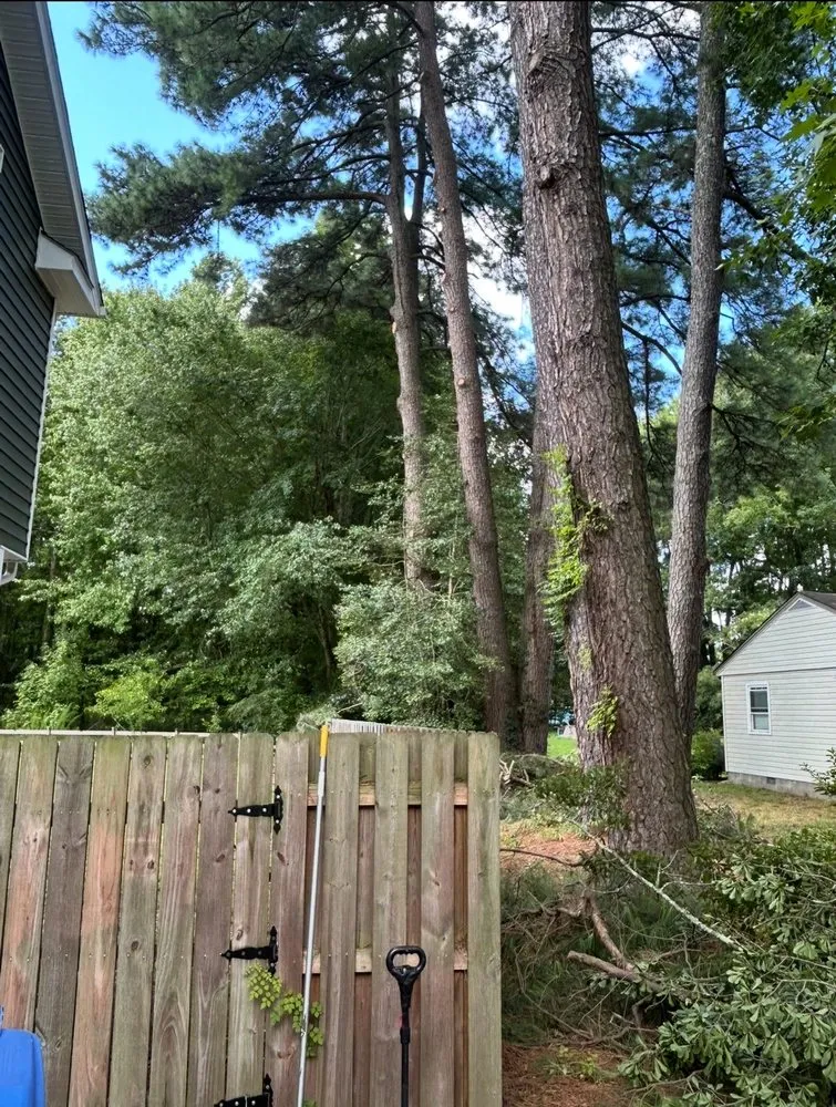 Custom landscape design in Chesapeake, VA - Tree Lyfe Tree Services