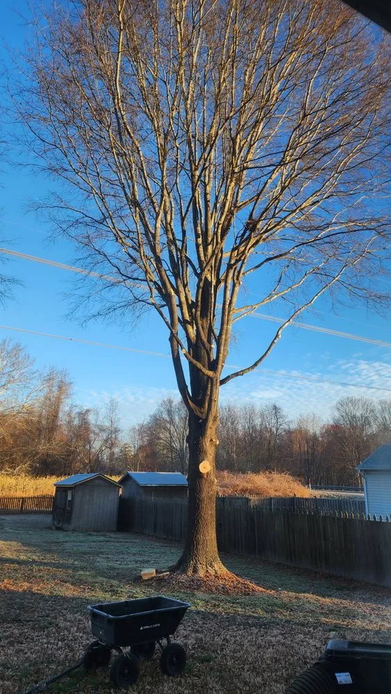 Trusted landscape installation for residential properties in Chesapeake, VA by Tree Lyfe Tree Services