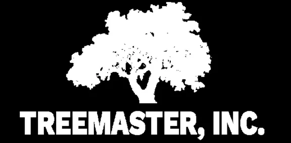 Affordable landscaping services with custom design across Savannah, GA - Tree Masters