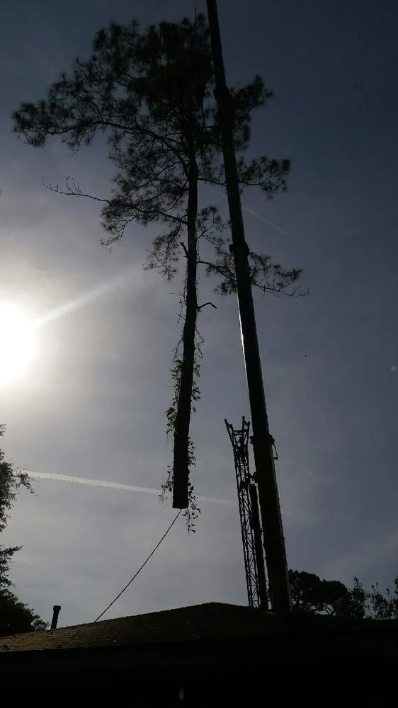 Reliable landscape installation for residential properties in Savannah, GA by Tree Masters