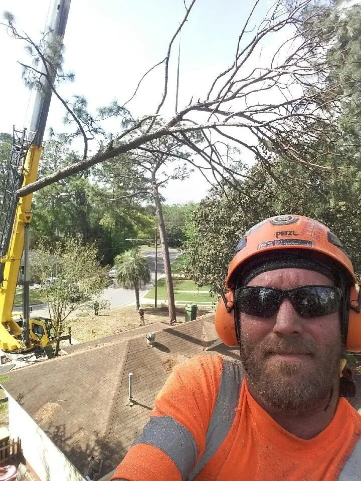 Top-rated garden landscaping for outdoor upgrades in Savannah, GA by Tree Masters