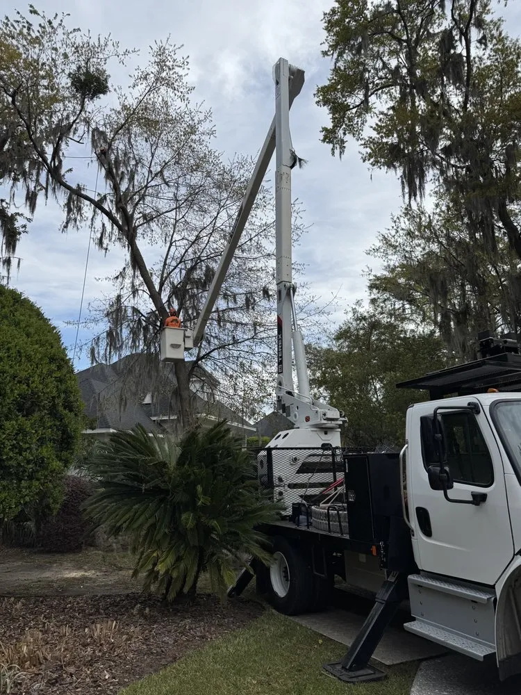 Reliable landscaping services in Savannah, GA by Tree Masters