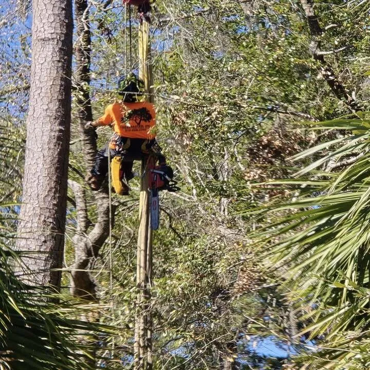 Affordable yard maintenance in Savannah, GA by Tree Masters