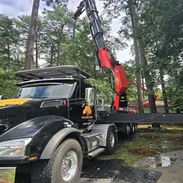 Reliable yard cleanup service for residential properties in Savannah, GA by Tree Masters