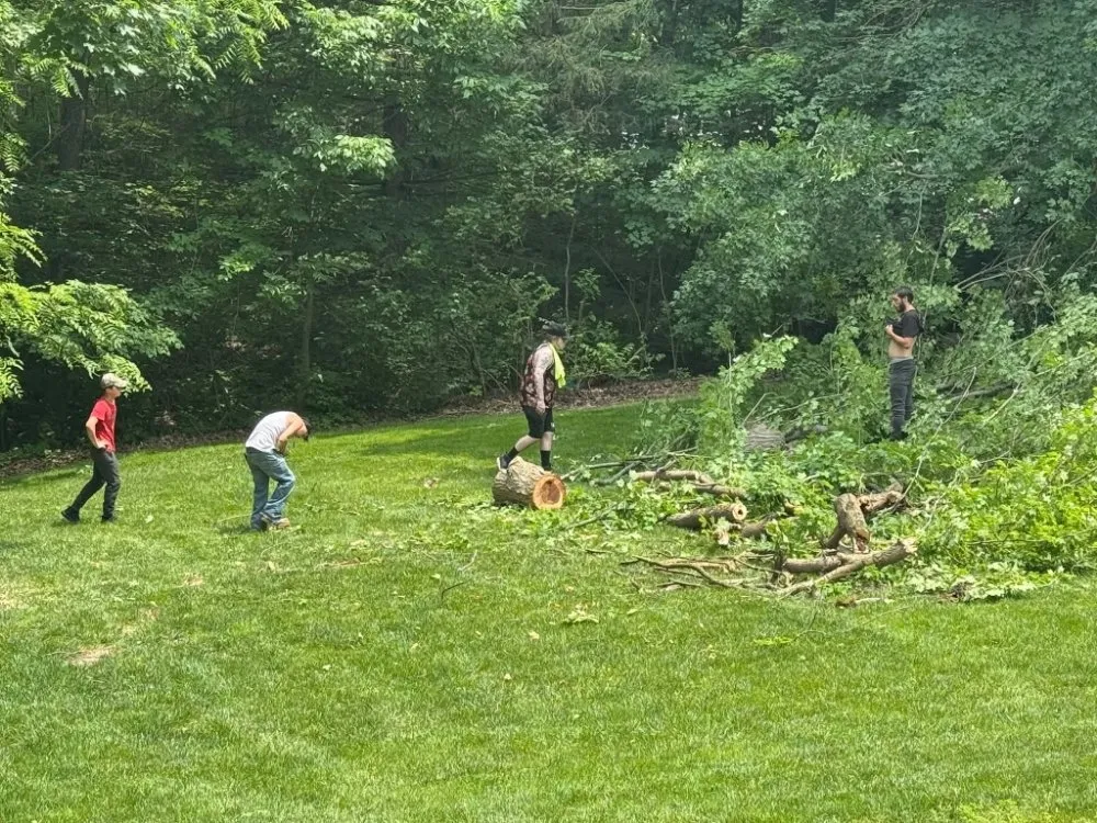 Expert landscaping services experts serving Indianapolis, IN - Tree Medics