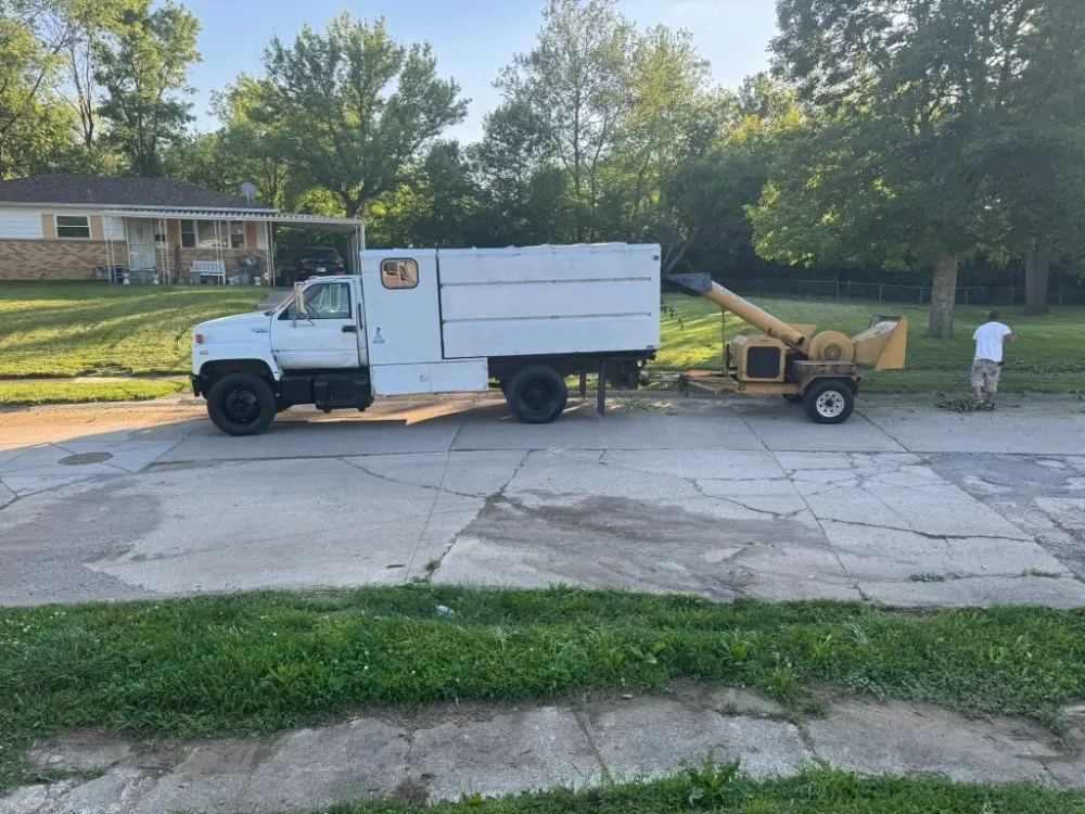 Local yard cleanup service in Indianapolis, IN - Tree Medics