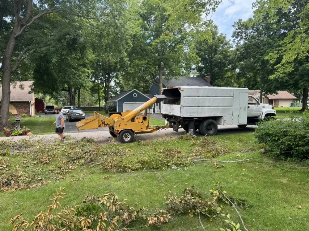 Top-rated landscape design experts serving Indianapolis, IN - Tree Medics