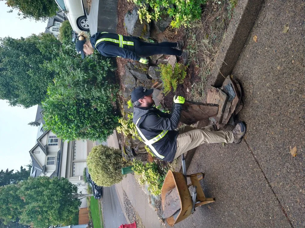 Top-rated landscaping services in Tualatin, OR by Tree Medics