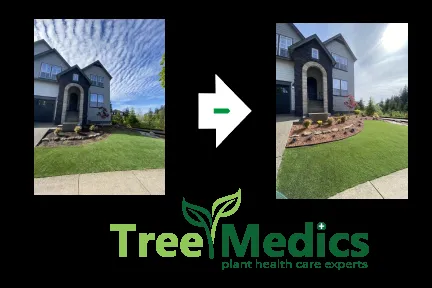 Custom lawn mowing service in Tualatin, OR by Tree Medics