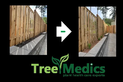 Custom landscaping services near you in Tualatin, OR by Tree Medics