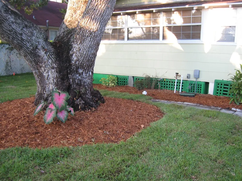 Top-rated yard maintenance near you in Spring Hill, FL by Tree-Mendous Tree Service